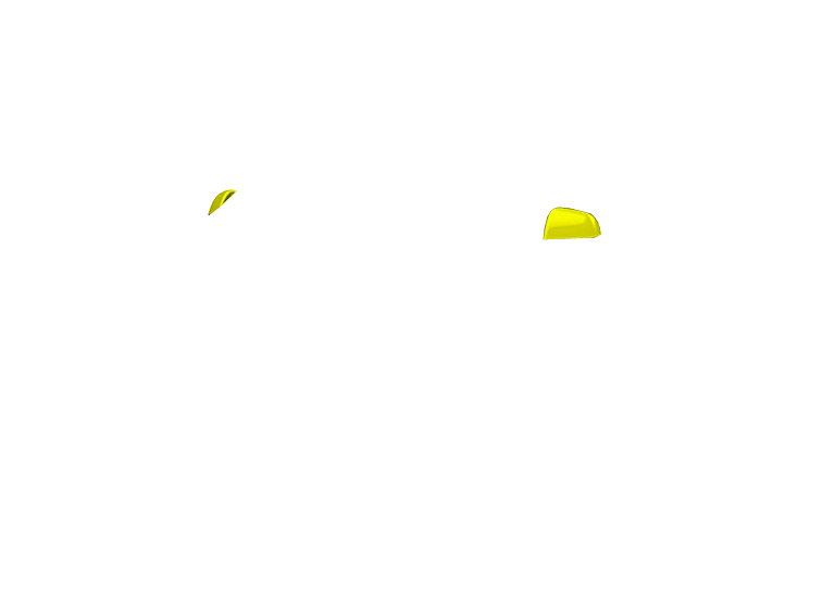 Automotive Mirrors Paint Protection