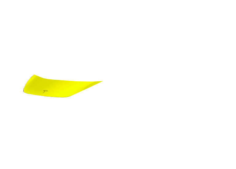 Partial Hood Clear Bra